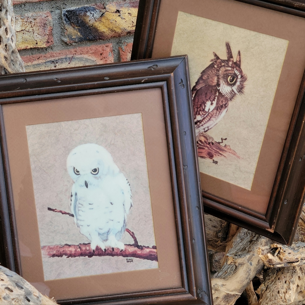 Vintage Framed Art Richard Hinger Owls wall decor